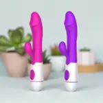 Shakti Pulse