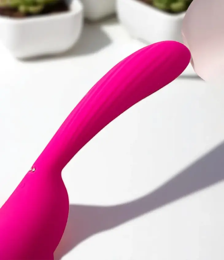 Pinku Licker - Image 4