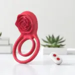 Raja Rani Vibe