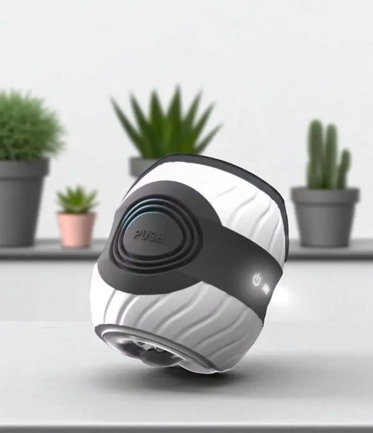Robo Rani